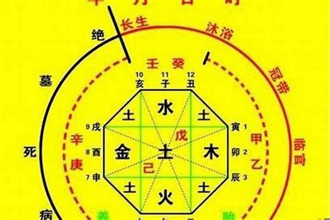 喜用神 木|八字喜用神为木的人特点 喜用神为木的人适合做什么工作